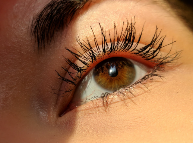 Jak skutecznie odżywić rzęsy